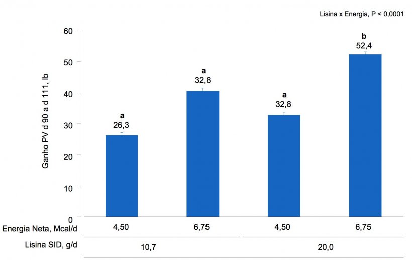 Figura 1A. Efeitos da alimenta&ccedil;&atilde;o com diferentes n&iacute;veis de lisina e energia, do dia 90 ao dia 111 de gesta&ccedil;&atilde;o, no ganho de PV de prim&iacute;paras e porcas. As m&eacute;dias com&nbsp;um&nbsp;super-&iacute;ndice diferente dentro do&nbsp;n&iacute;vel de Lis SID s&atilde;o&nbsp;diferentes&nbsp;(P &lt;0,05).
